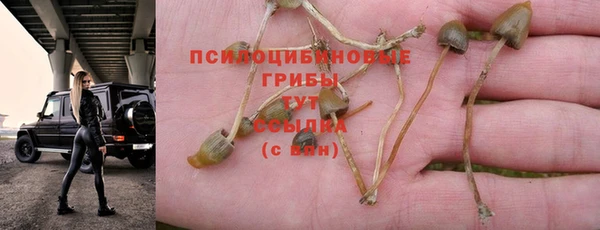 MESCALINE Каменногорск