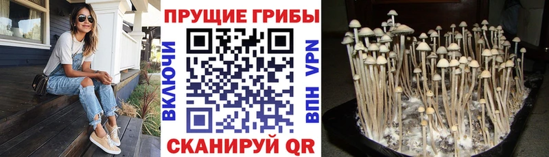 Галлюциногенные грибы мухоморы  ОМГ ОМГ ссылки  Самара  нарко площадка состав  наркошоп 